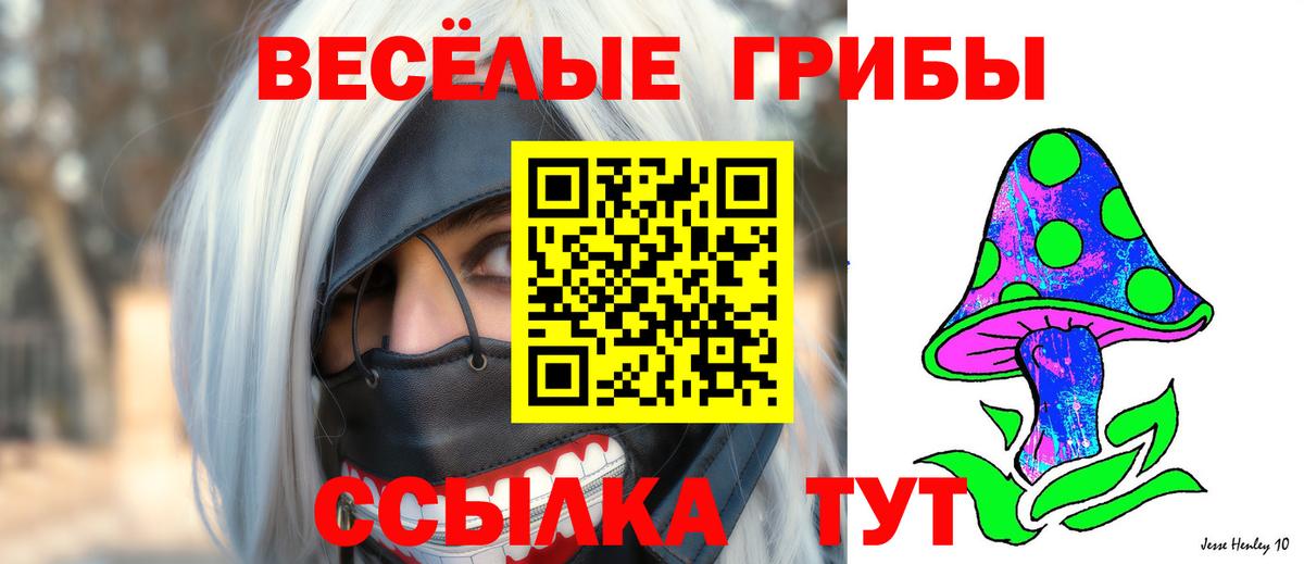 Псилоцибиновые грибы мицелий Тельмана