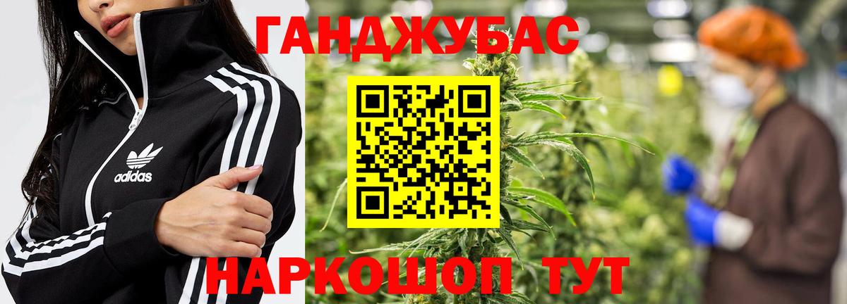 Тельмана  Канабис сатива  Бошки Шишки сатива  Вход с VPN 